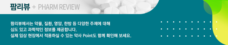 팜리뷰