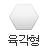 육각형